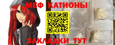 шишки Дубна