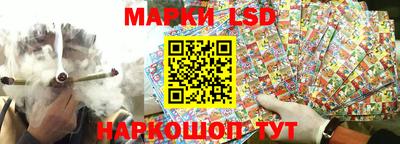шишки Дубна
