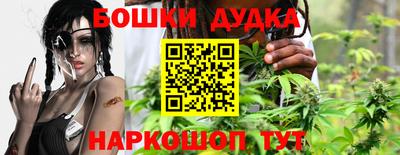 шишки Дубна