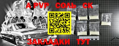 шишки Дубна