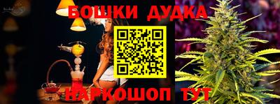 шишки Дубна