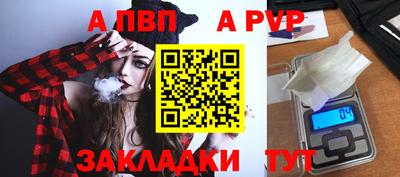 шишки Дубна